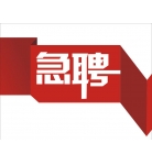 崗位招聘 崗位招聘